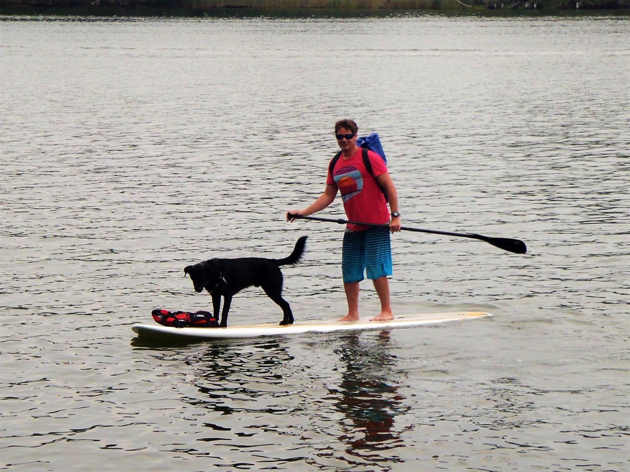 16601653_10212475187381210_5522182916581531221_o