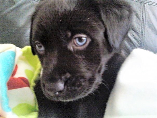 2574_1033395514924_1226490045_30109762_1373385_n-2