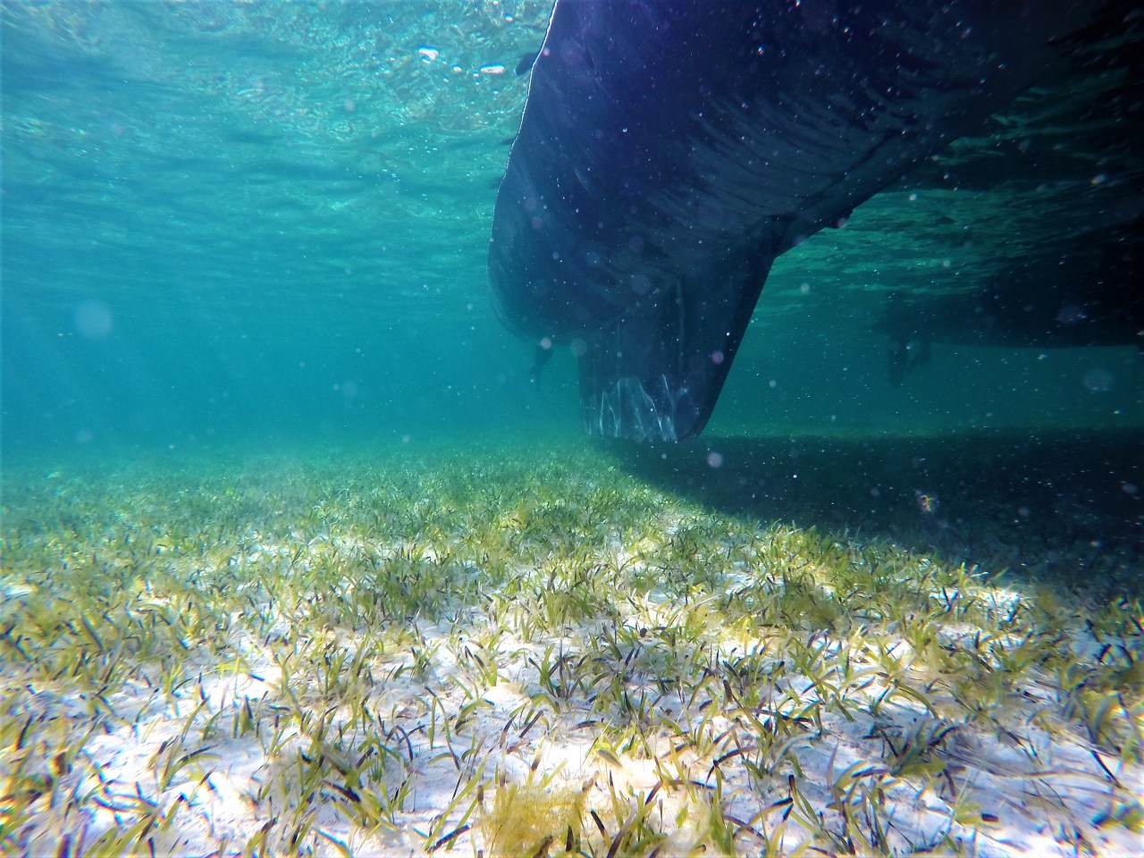 DCIM100GOPROGOPR7003.