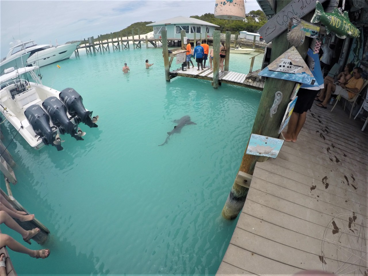 DCIM100GOPROGOPR0801.